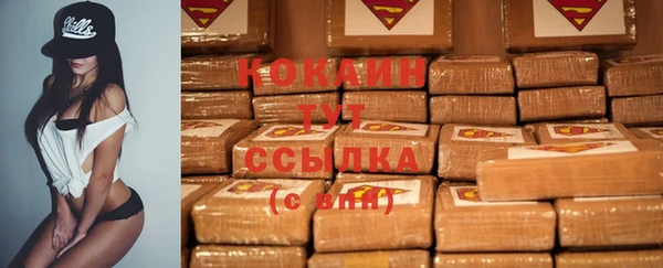 хмурый Россошь