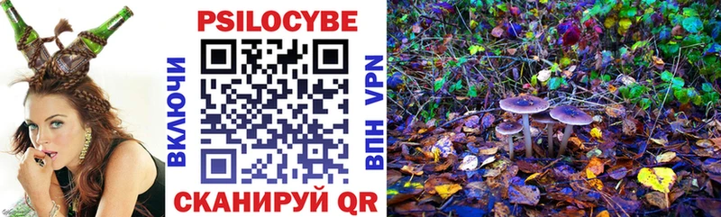 блэк спрут как зайти  как найти закладки  Петрозаводск  Псилоцибиновые грибы мухоморы 