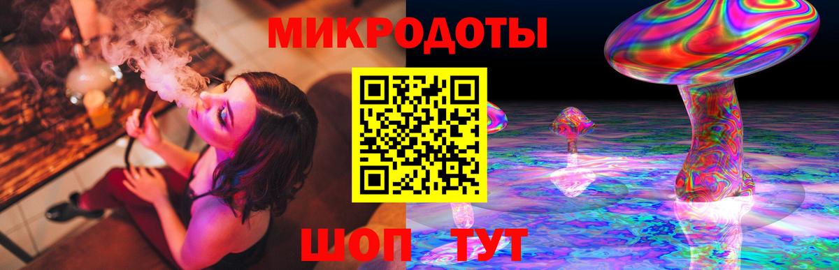 Петрозаводск  Галлюциногенные грибы Psilocybine cubensis  Вход с VPN 